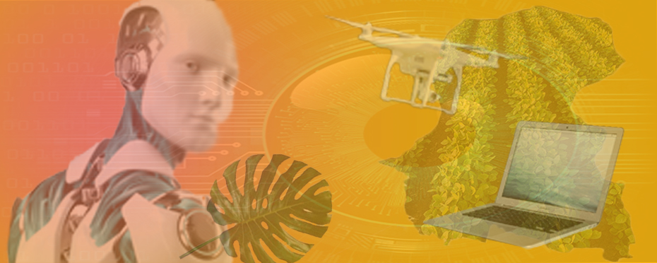 Full Image
